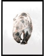 Poster 30x40 Nature Forest Bear