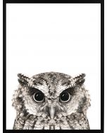 Poster 30x40 Nature Horned Owl (planpackad)