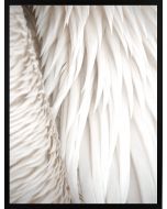Poster 30x40 Nature White Feathers (planpackad)